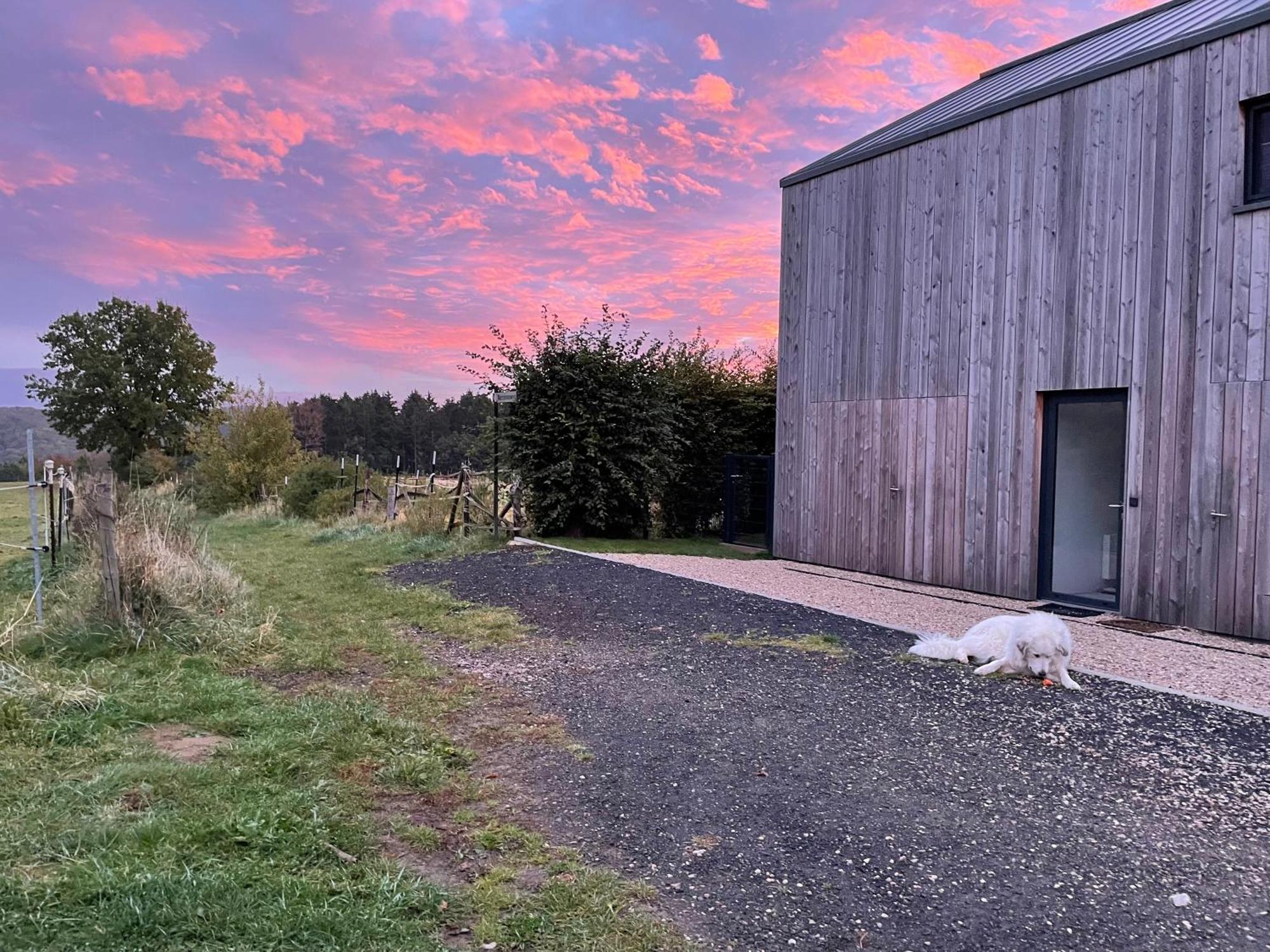 Vila Eifelhaus Ut Mutscheid Bad Muenstereifel Exteriér fotografie